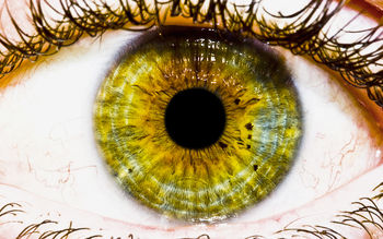 The Eye screenshot