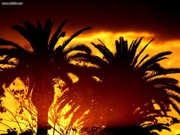 The Fiery Tropical Sunset screenshot