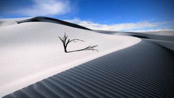 The Lonesome Dune screenshot