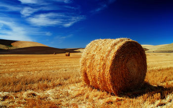 The Palouse Fields screenshot