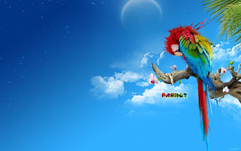 The Parrot screenshot