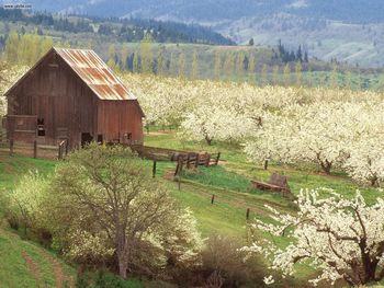 The Promise Of Spring Mosier Oregon screenshot
