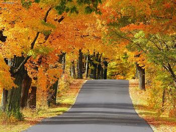 The Road Less Travelled Door County Wisconsin screenshot