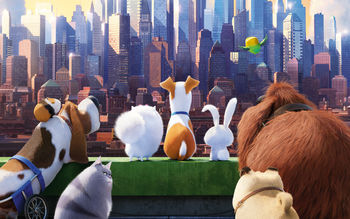 The Secret Life of Pets 2016 screenshot