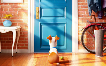 The Secret Life of Pets Movie screenshot