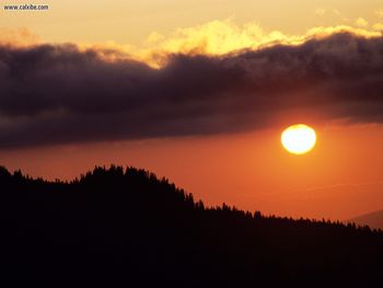 The Warm Front Oregon screenshot