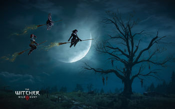 The Witcher 3 Wild Hunt Witches screenshot