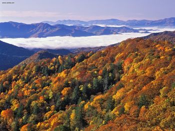 Thomas Divide And River Of Fog Great Smoky Mountains National Park North Carolina screenshot