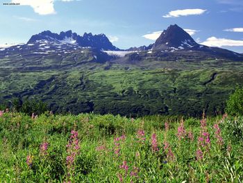 Thompson Pass Chugach Range Alaska screenshot