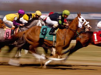 Thoroughbred Horse Racing Turfway Park Kentucky screenshot