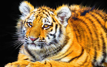 Tiger Cub screenshot