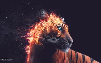 Tiger Fire screenshot