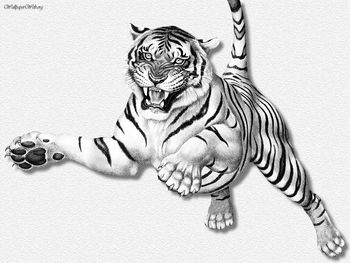 Tiger Leaping Erc screenshot