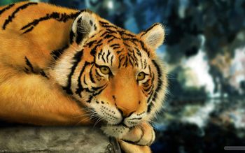 Tiger Painting screenshot