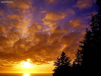 Tillamook County Sunset Oregon screenshot