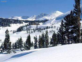 Tioga Pass Yosemite National Park California screenshot