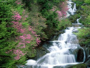 Tochigi Prefecture Nikko Japan screenshot