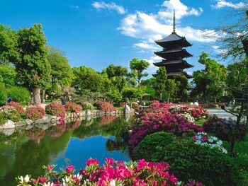 Toji Temple, Kyoto, Japan screenshot