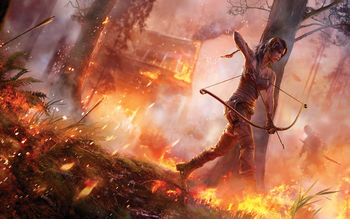 Tomb Raider 2013 Game screenshot