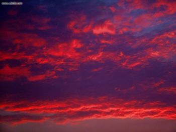 Toronto Look Out My Window Sunset screenshot