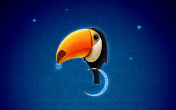 Toucan Bird screenshot