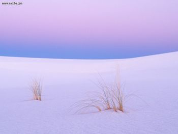 Tranquility White Sands New Mexico screenshot