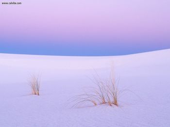 Tranquility White Sands New Mexico screenshot