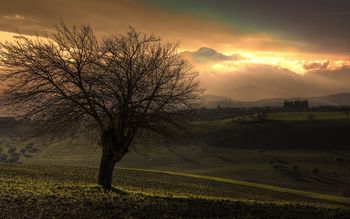 Tree And The Mountain screenshot