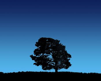 Tree On Blue Sky screenshot