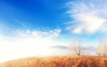 Trees Cloud Fog Landscape screenshot