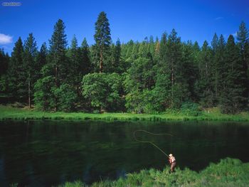 Trophy Trout Section Hat Creek California screenshot