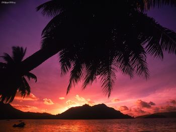 Tropical Beach At Sunset, The Seychelles screenshot