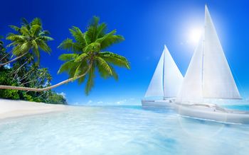 Tropical Beache screenshot