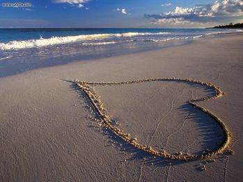 Tropical Romance Tulum Mexico screenshot