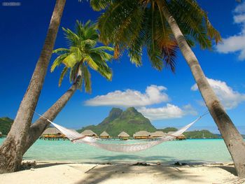 Tropical Sleepaway Bora Bora French Polynesia screenshot