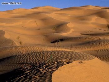 Tunisia Sahara Desert screenshot