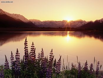 Turnagain Arm Chugach State Park Alaska screenshot