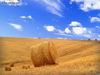 Tuscan Bliss screenshot