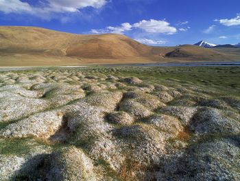 Tussocks Of Permafrost, Ladakh, India screenshot