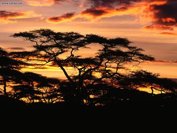 Twilight Over Tanzania Africa screenshot