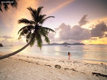 Twilight Paradise La Digue Seychelles screenshot
