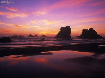 Twilight Reflections Bandon Beach Oregon screenshot