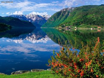 Ulvik Hardangerfjord, Norway screenshot