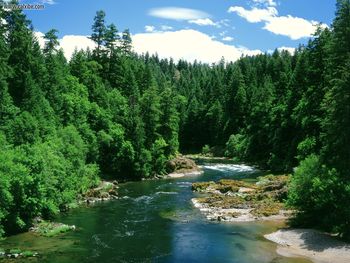 Umpqua River Douglas County Oregon screenshot