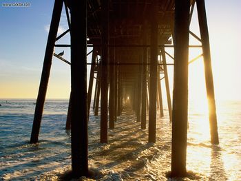 Under The Boardwalk Oceanside California screenshot