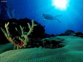 Underwater Explorer Mana Island Fiji screenshot