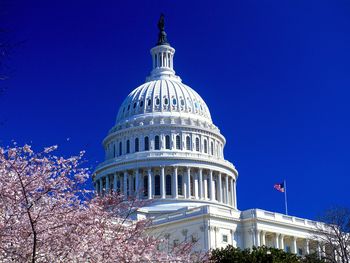 United States Capitol screenshot