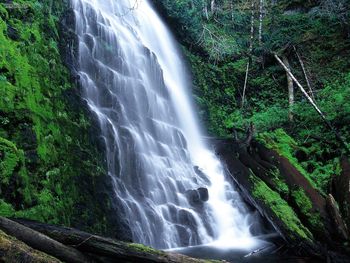 University Falls Tillamook State Forest Oregon screenshot