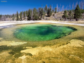 Upper Geyser Basin Yellowstone National Park Wyoming screenshot