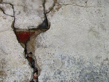 Urban Wall Crack screenshot